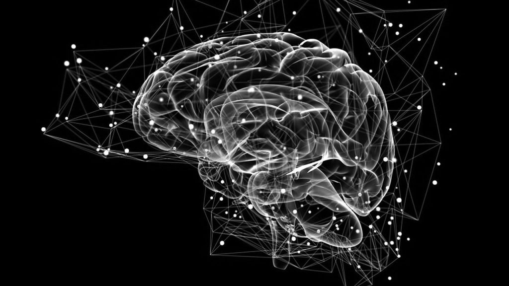 La Neurociencia de la Trascendencia